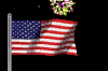 bandera-estados-unidos-063.gif