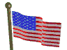 bandera-estados-unidos-064.gif