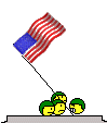 bandera-estados-unidos-072.gif