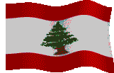 bandera-asia-miscelanea-044.gif