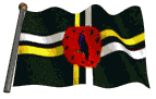 bandera-de-todo-el-mundo-1335.gif
