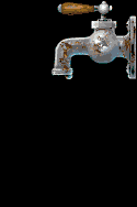grifos-011.gif