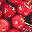 cereza-005.jpg