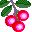 cereza-006.jpg