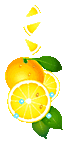 naranja-006.gif