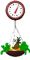 pinya-002.gif