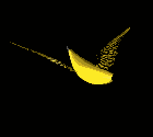 platano-018.gif