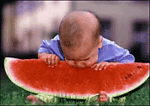 sandia-008.gif