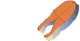 pescado-002.gif