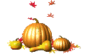 calabaza-003.gif