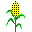 maiz-001.gif