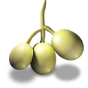verduras-miscelanea-010.png