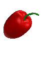 pimientos-y-chilis-016.gif
