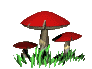 setas-006.gif