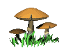 setas-007.gif
