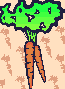 zanahoria-014.gif