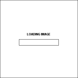 cargando-loading-044.gif