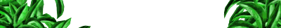 fondos-para-banners-145.gif