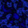 fondo-azul-oscuro-043.jpg