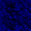fondo-azul-oscuro-061.jpg