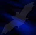 fondo-azul-oscuro-096.jpg