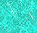 fondo-azul-verdoso-004.jpg