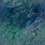 fondo-azul-verdoso-020.jpg