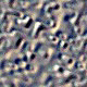 fondo-beige-040.gif