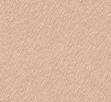 fondo-beige-160.gif