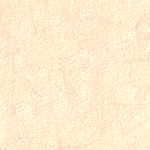 fondo-beige-164.gif