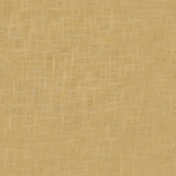 fondo-beige-170.jpg