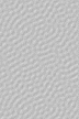 fondo-gris-claro-100.gif