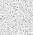 fondo-gris-claro-112.jpg