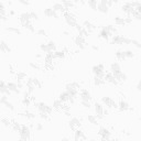 fondo-gris-claro-119.jpg