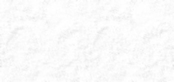 fondo-gris-claro-149.jpg