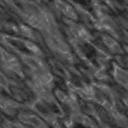 fondo-gris-oscuro-046.jpg
