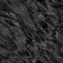 fondo-gris-oscuro-047.gif