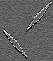 fondo-gris-003.gif