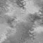fondo-gris-004.gif