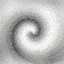 fondo-gris-011.gif