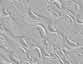 fondo-gris-013.jpg