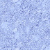 fondo-lila-violeta-016.jpg