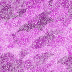 fondo-lila-violeta-017.jpg