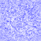 fondo-lila-violeta-033.gif
