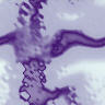 fondo-lila-violeta-063.jpg