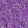 fondo-lila-violeta-079.jpg