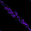 fondo-lila-violeta-080.gif