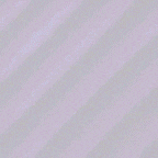 fondo-lila-violeta-159.gif