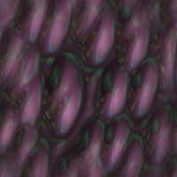 fondo-lila-violeta-185.jpg
