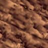 fondo-marron-024.jpg